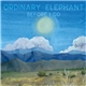 Ordinary Elephant - Before I Go